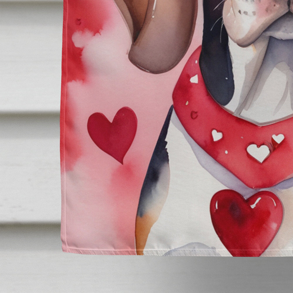 American English Coonhound My Valentine House Flag 28x40 Porch Sleeve Pole Decorative Outside Yard Banner Artwork Wall Hanging, Polyester