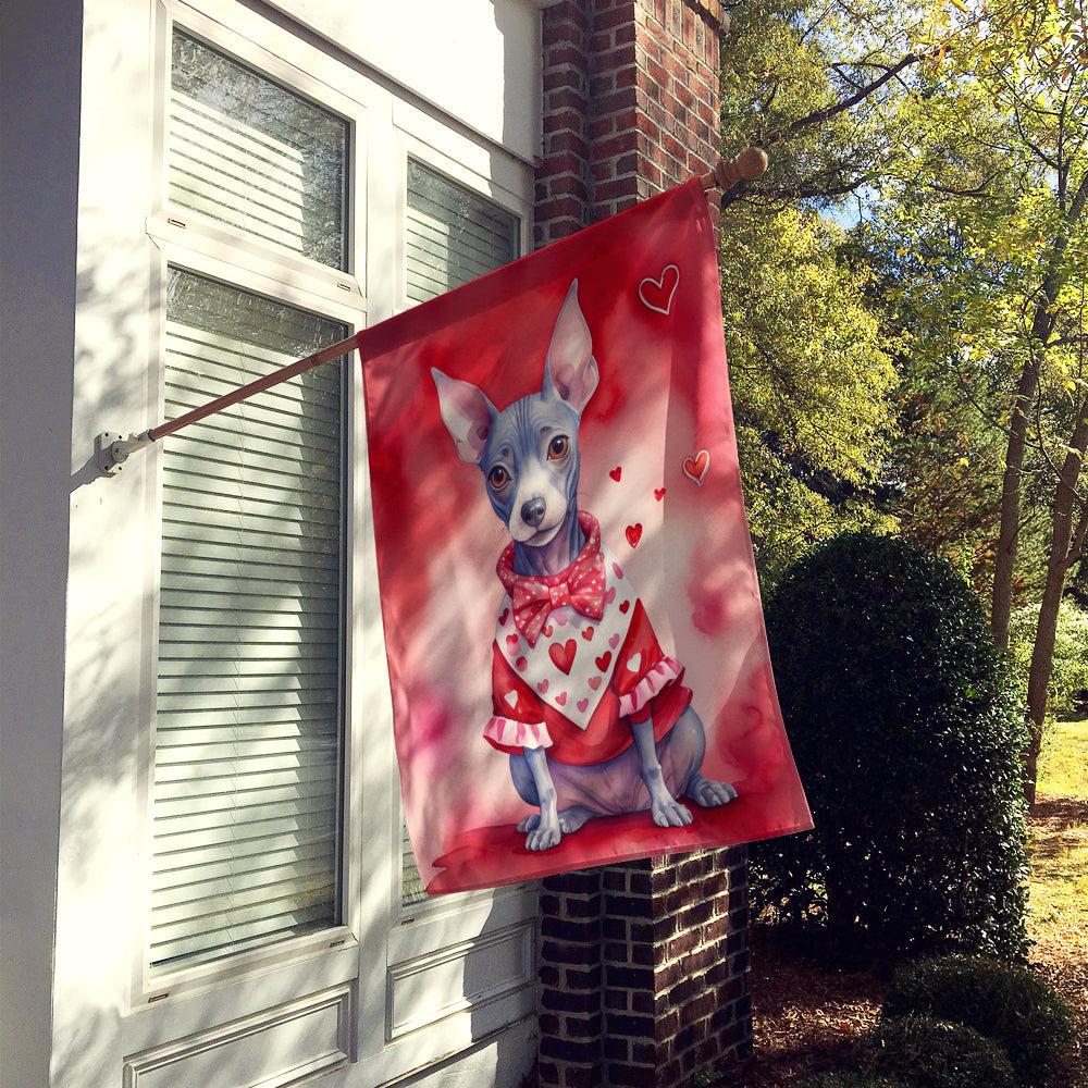 American Hairless Terrier My Valentine House Flag 28x40 Porch Sleeve Pole Decorative Outside Yard Banner Artwork Wall Hanging, Polyester
