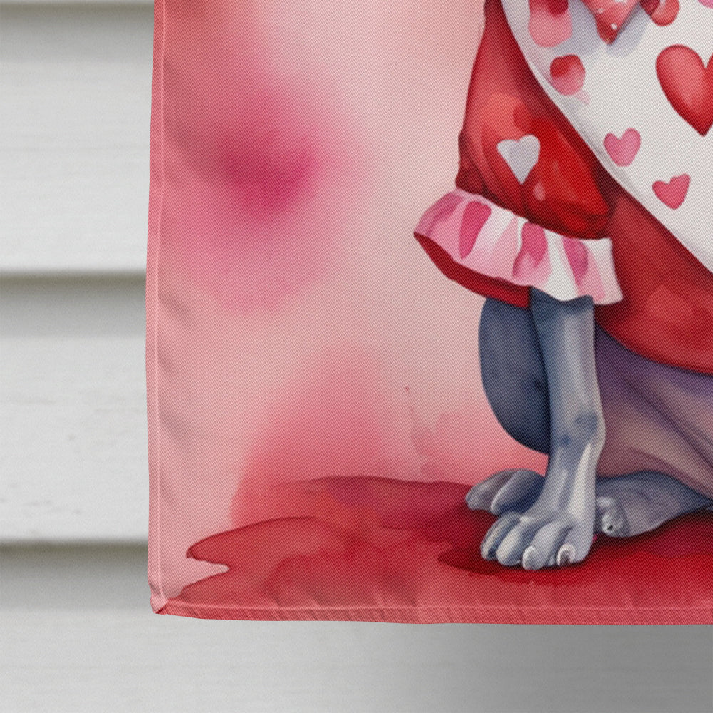 American Hairless Terrier My Valentine House Flag 28x40 Porch Sleeve Pole Decorative Outside Yard Banner Artwork Wall Hanging, Polyester