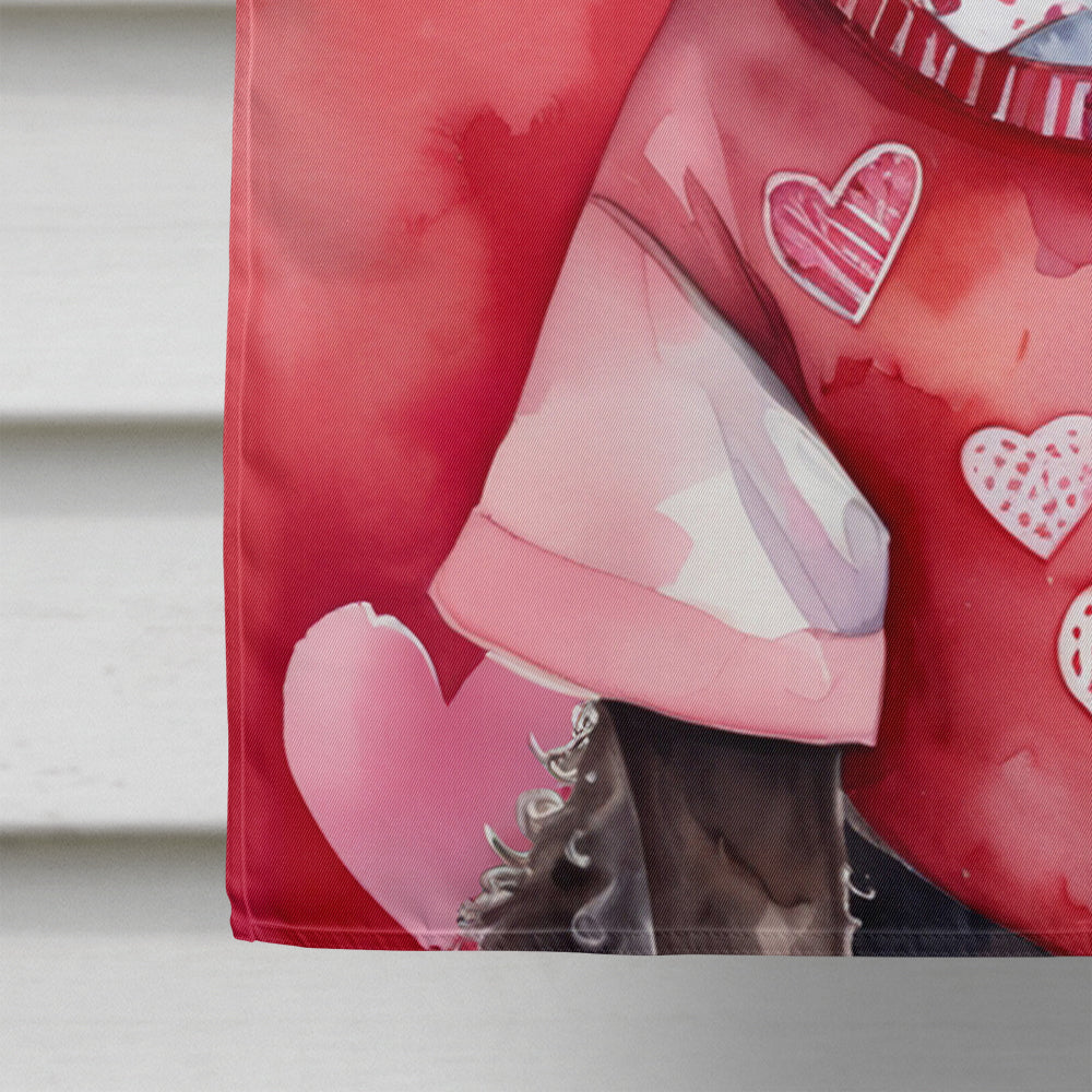 American Water Spaniel My Valentine House Flag 28x40 Porch Sleeve Pole Decorative Outside Yard Banner Artwork Wall Hanging, Polyester