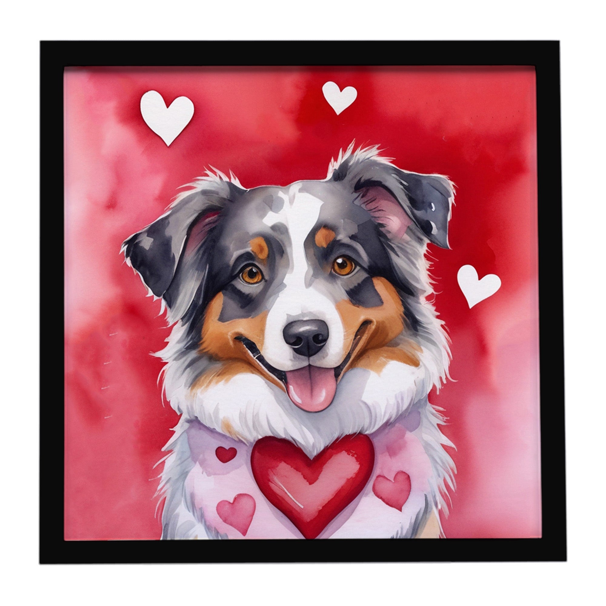 Australian Shepherd My Valentine Framed Metal Print Bathroom, Kitchen, Office, Home Decor Wall Art Ready to Hang, Square, 8X8