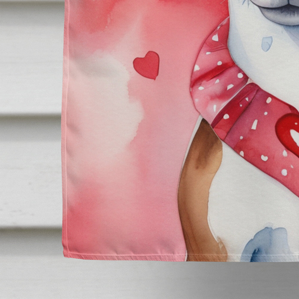 Basenji My Valentine House Flag 28x40 Porch Sleeve Pole Decorative Outside Yard Banner Artwork Wall Hanging, Polyester