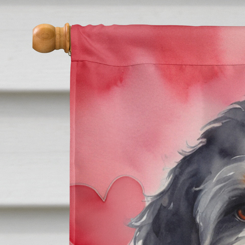 Bernedoodle My Valentine House Flag 28x40 Porch Sleeve Pole Decorative Outside Yard Banner Artwork Wall Hanging, Polyester
