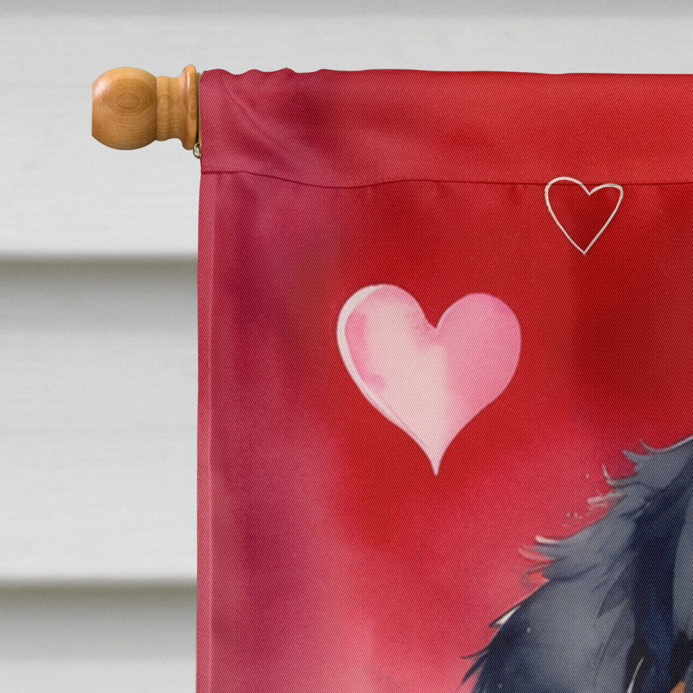 Bernese Mountain Dog My Valentine House Flag 28x40 Porch Sleeve Pole Decorative Outside Yard Banner Artwork Wall Hanging, Polyester