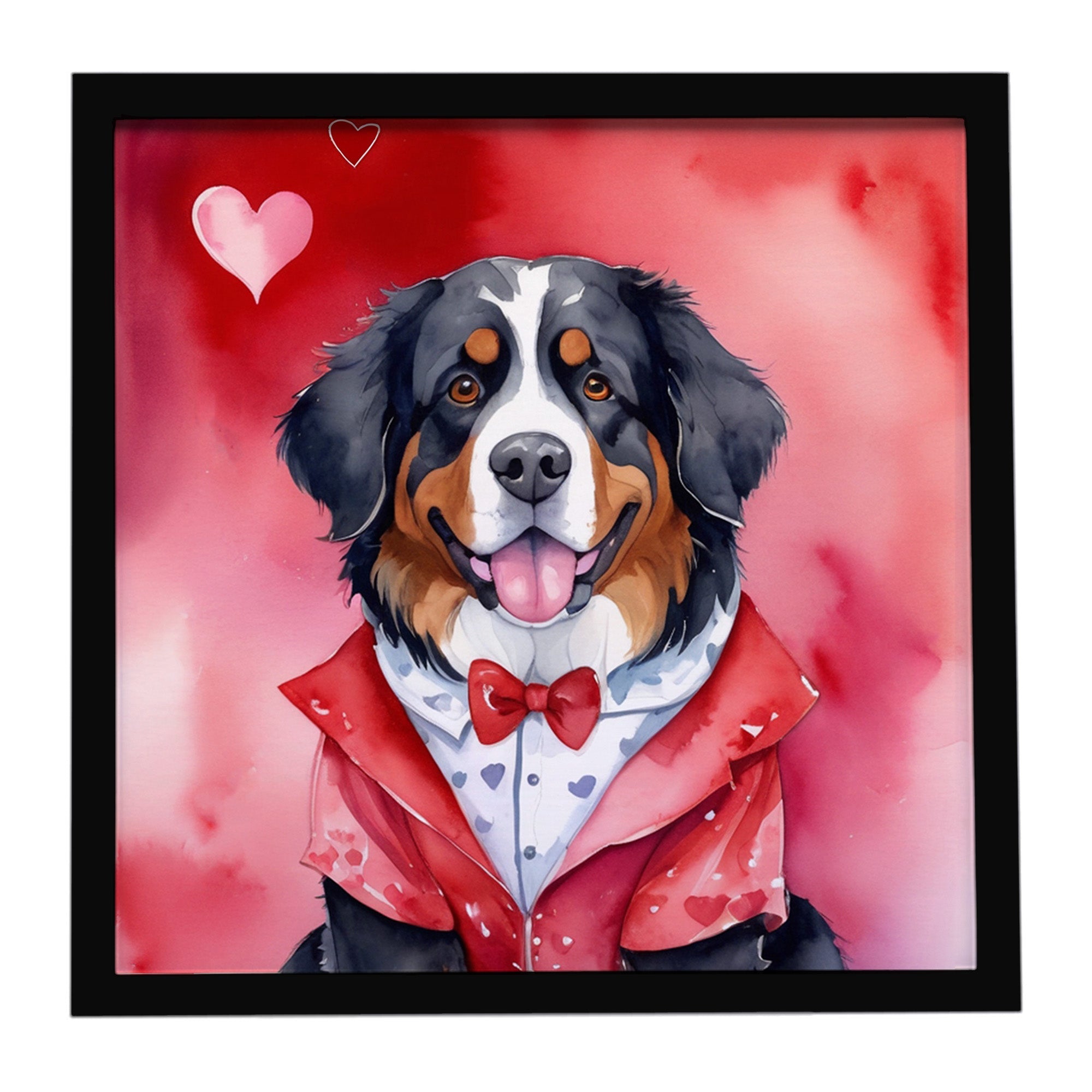 Bernese Mountain Dog My Valentine Framed Metal Print Bathroom, Kitchen, Office, Home Decor Wall Art Ready to Hang, Square, 8X8