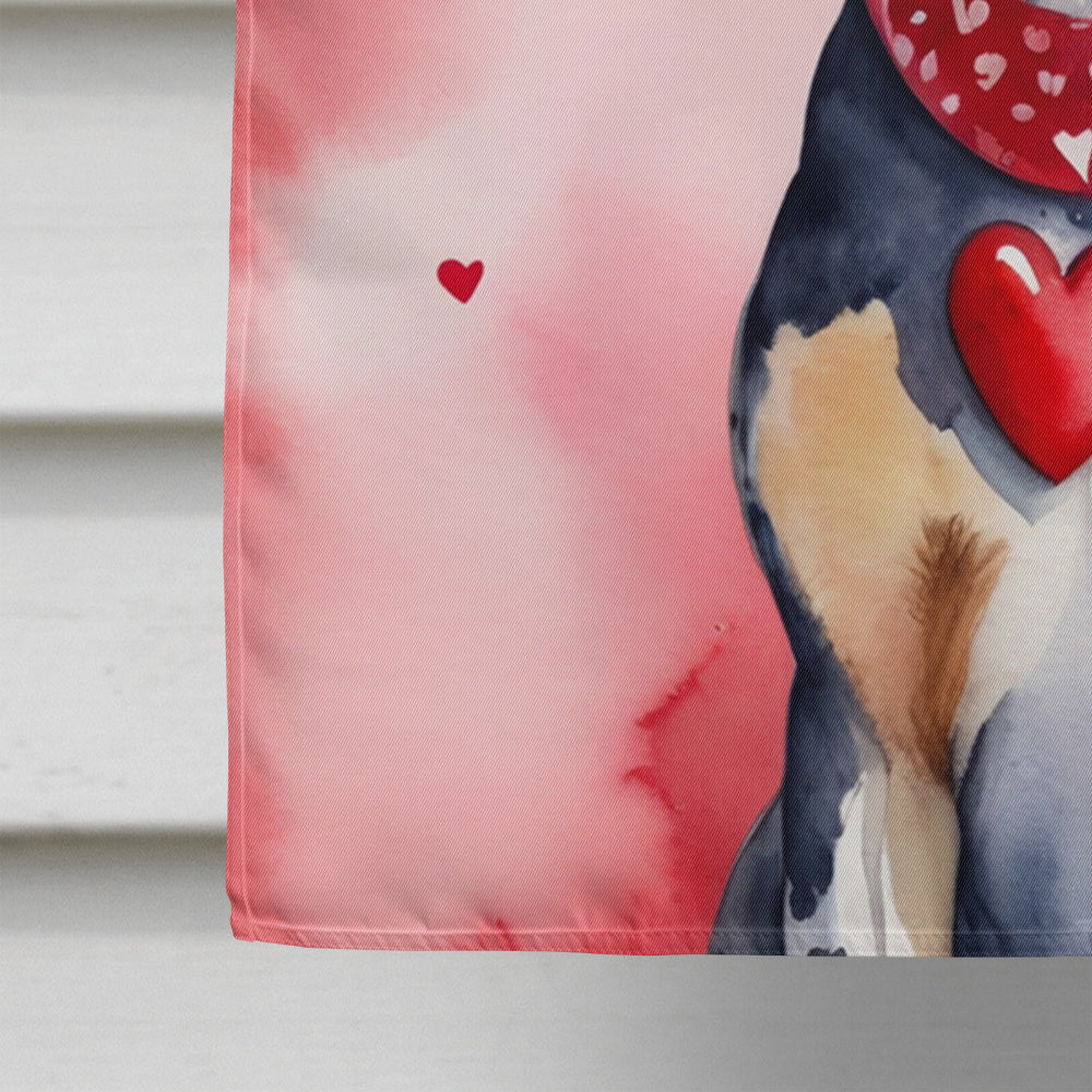 Bluetick Coonhound My Valentine House Flag 28x40 Porch Sleeve Pole Decorative Outside Yard Banner Artwork Wall Hanging, Polyester