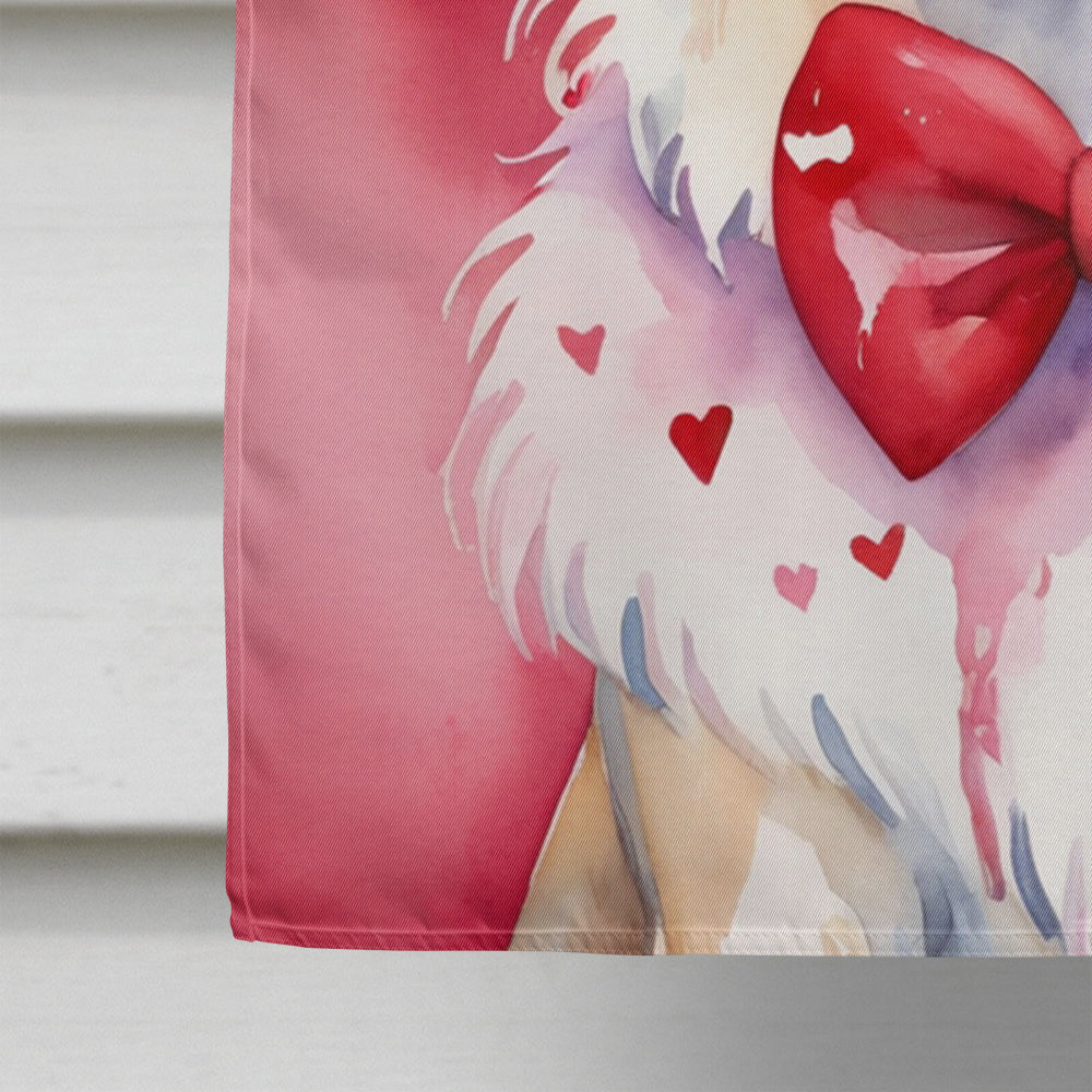 Borzoi My Valentine House Flag 28x40 Porch Sleeve Pole Decorative Outside Yard Banner Artwork Wall Hanging, Polyester