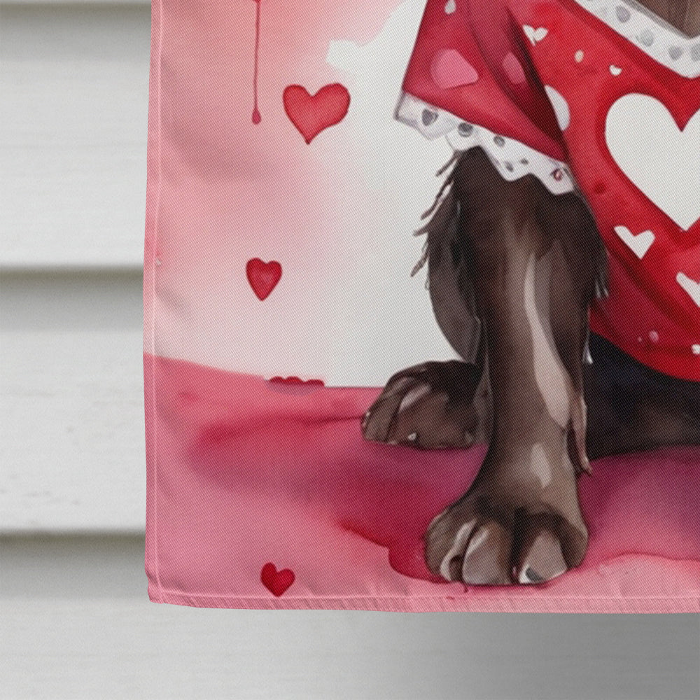 Boykin Spaniel My Valentine House Flag 28x40 Porch Sleeve Pole Decorative Outside Yard Banner Artwork Wall Hanging, Polyester