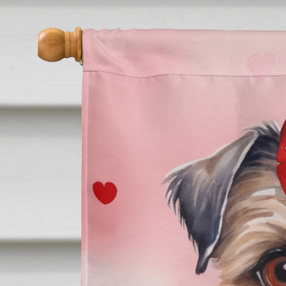 Brussels Griffon My Valentine House Flag 28x40 Porch Sleeve Pole Decorative Outside Yard Banner Artwork Wall Hanging, Polyester