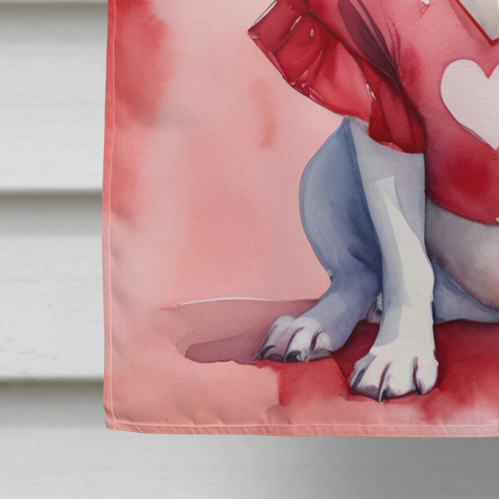 Bull Terrier My Valentine House Flag 28x40 Porch Sleeve Pole Decorative Outside Yard Banner Artwork Wall Hanging, Polyester