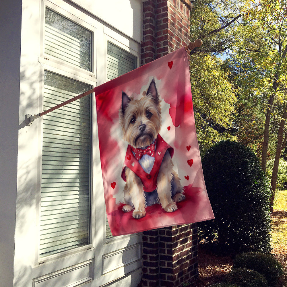 Cairn Terrier My Valentine House Flag 28x40 Porch Sleeve Pole Decorative Outside Yard Banner Artwork Wall Hanging, Polyester