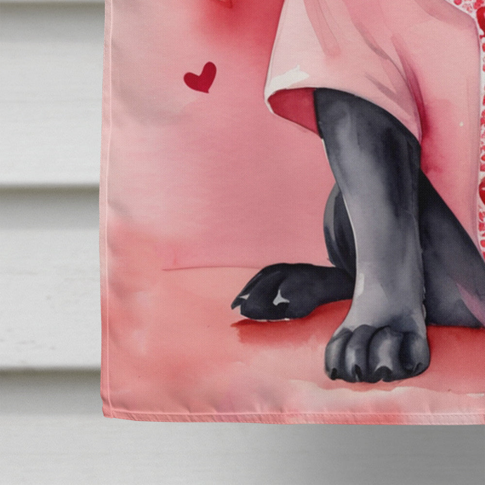 Cane Corso My Valentine House Flag 28x40 Porch Sleeve Pole Decorative Outside Yard Banner Artwork Wall Hanging, Polyester