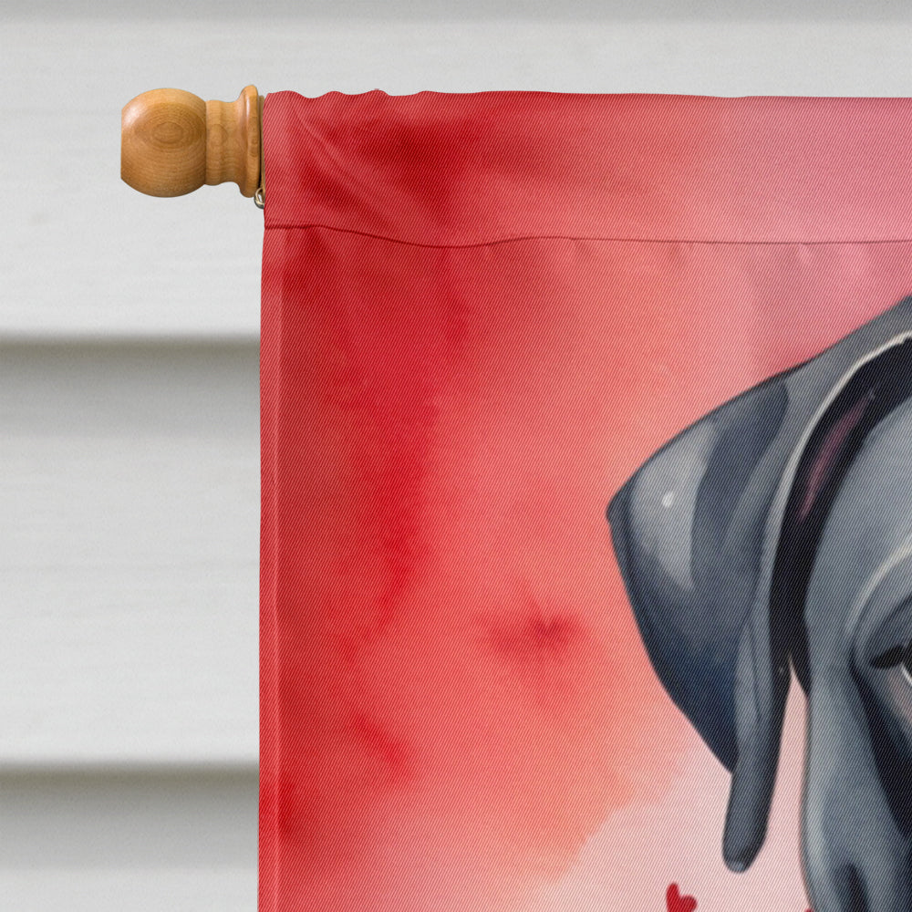 Cane Corso My Valentine House Flag 28x40 Porch Sleeve Pole Decorative Outside Yard Banner Artwork Wall Hanging, Polyester