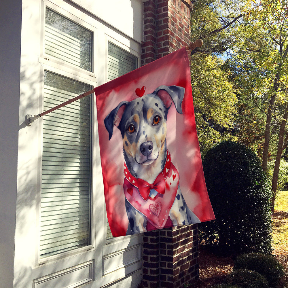 Catahoula My Valentine House Flag 28x40 Porch Sleeve Pole Decorative Outside Yard Banner Artwork Wall Hanging, Polyester