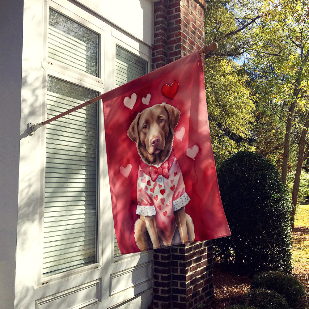 Chesapeake Bay Retriever My Valentine House Flag 28x40 Porch Sleeve Pole Decorative Outside Yard Banner Artwork Wall Hanging, Polyester