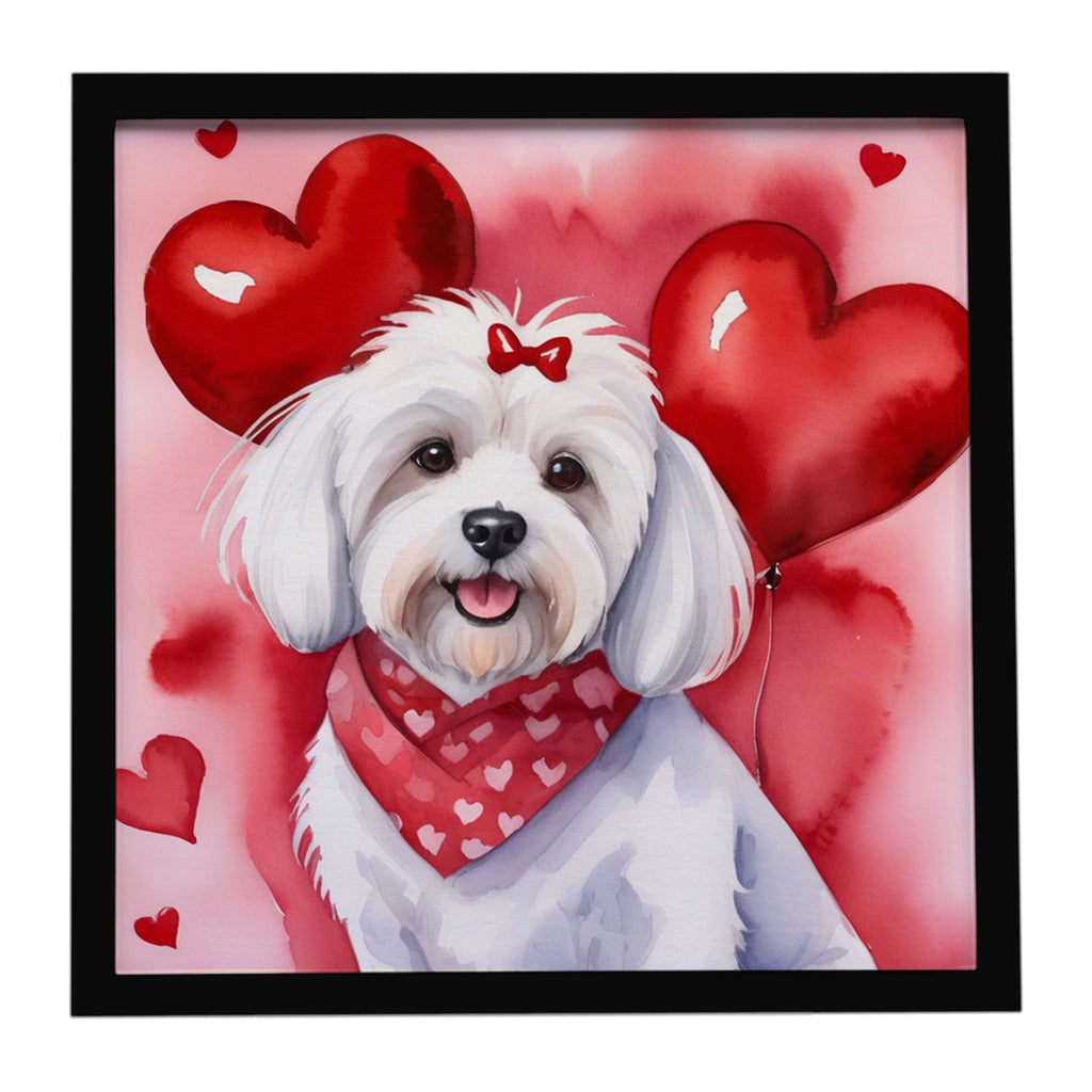 Coton de Tulear My Valentine Framed Metal Print Bathroom, Kitchen, Office, Home Decor Wall Art Ready to Hang, Square, 8X8