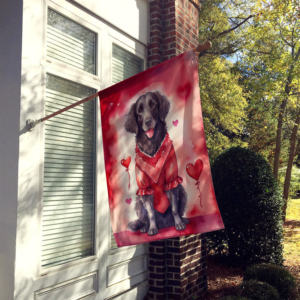 Curly-Coated Retriever My Valentine House Flag 28x40 Porch Sleeve Pole Decorative Outside Yard Banner Artwork Wall Hanging, Polyester