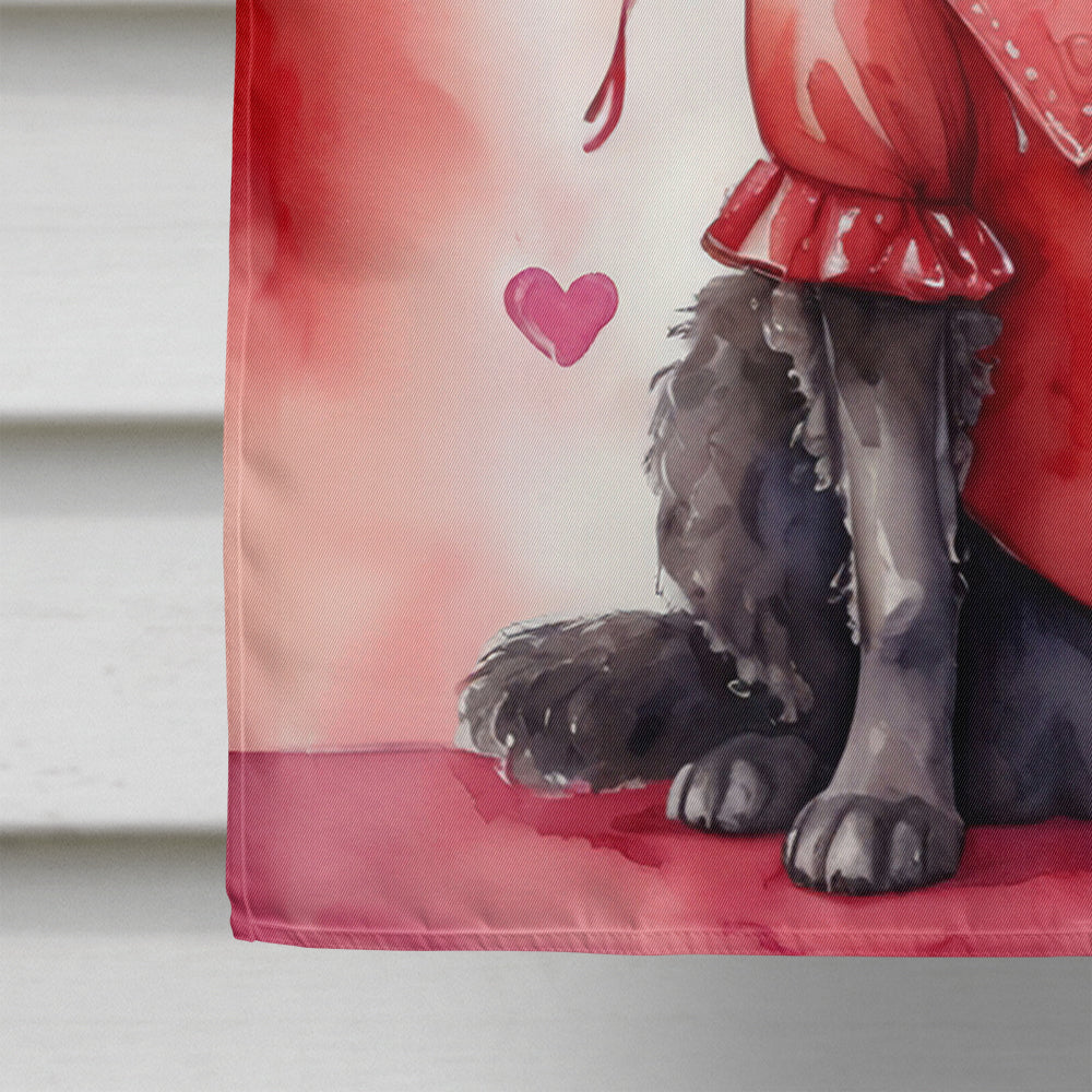 Curly-Coated Retriever My Valentine House Flag 28x40 Porch Sleeve Pole Decorative Outside Yard Banner Artwork Wall Hanging, Polyester