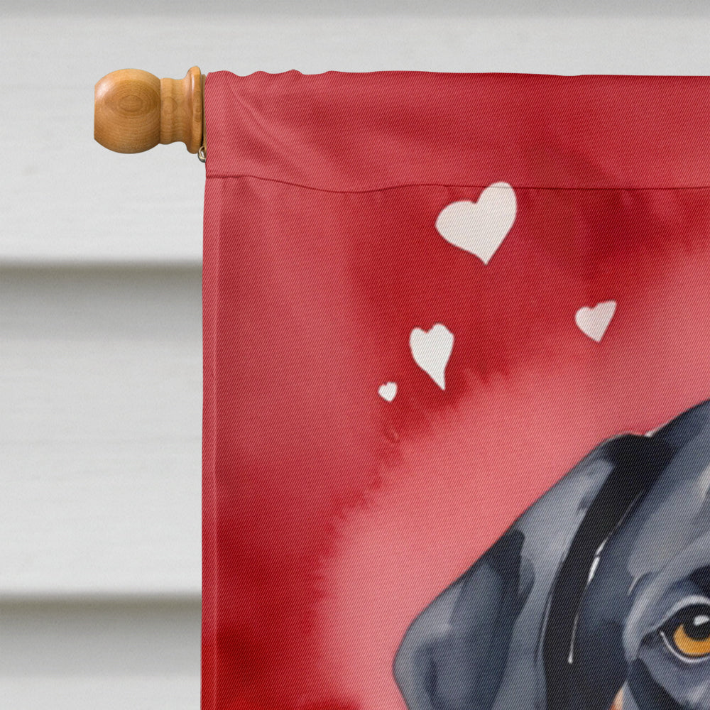 Greater Swiss Mountain Dog My Valentine House Flag 28x40 Porch Sleeve Pole Decorative Outside Yard Banner Artwork Wall Hanging, Polyester