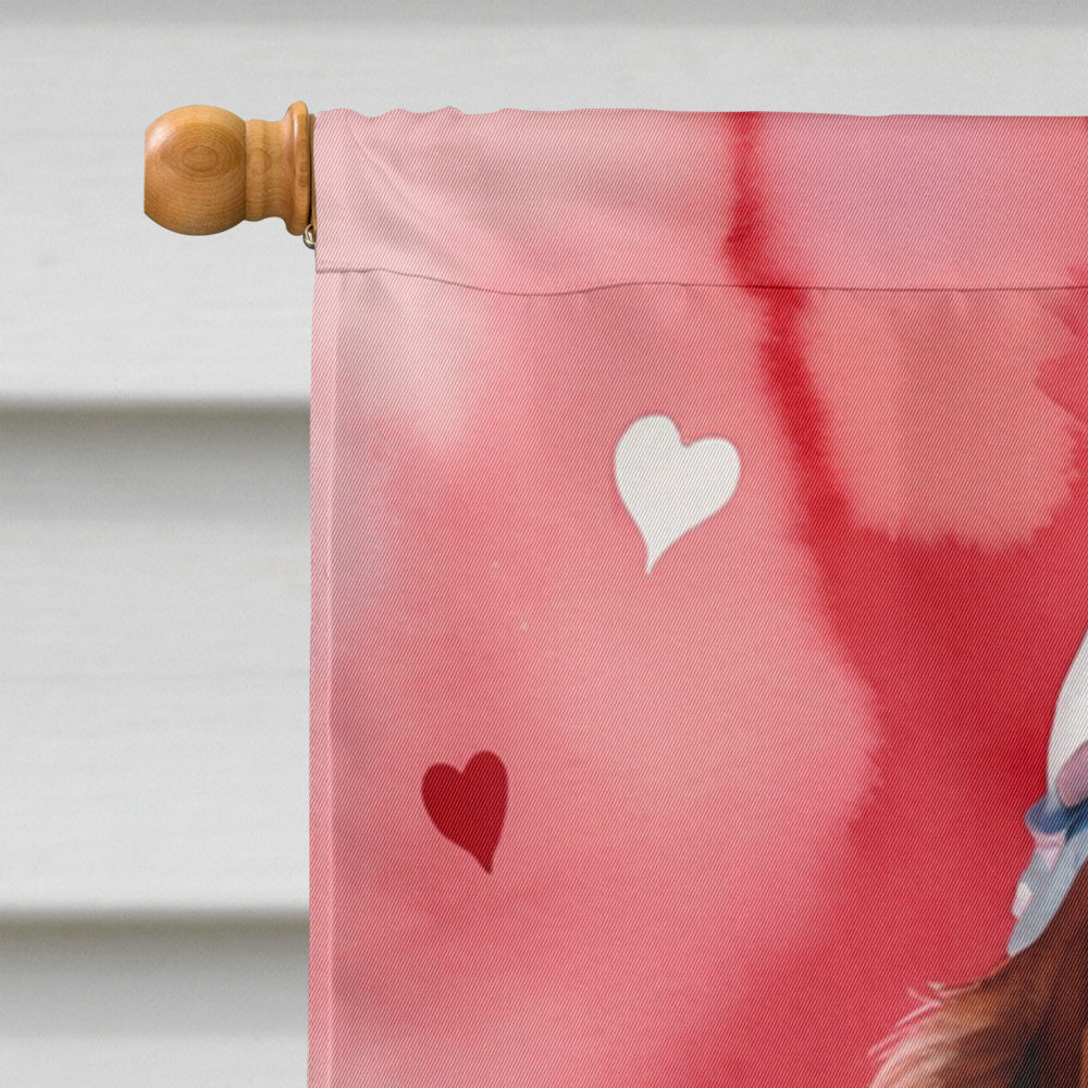 Irish Setter My Valentine House Flag 28x40 Porch Sleeve Pole Decorative Outside Yard Banner Artwork Wall Hanging, Polyester