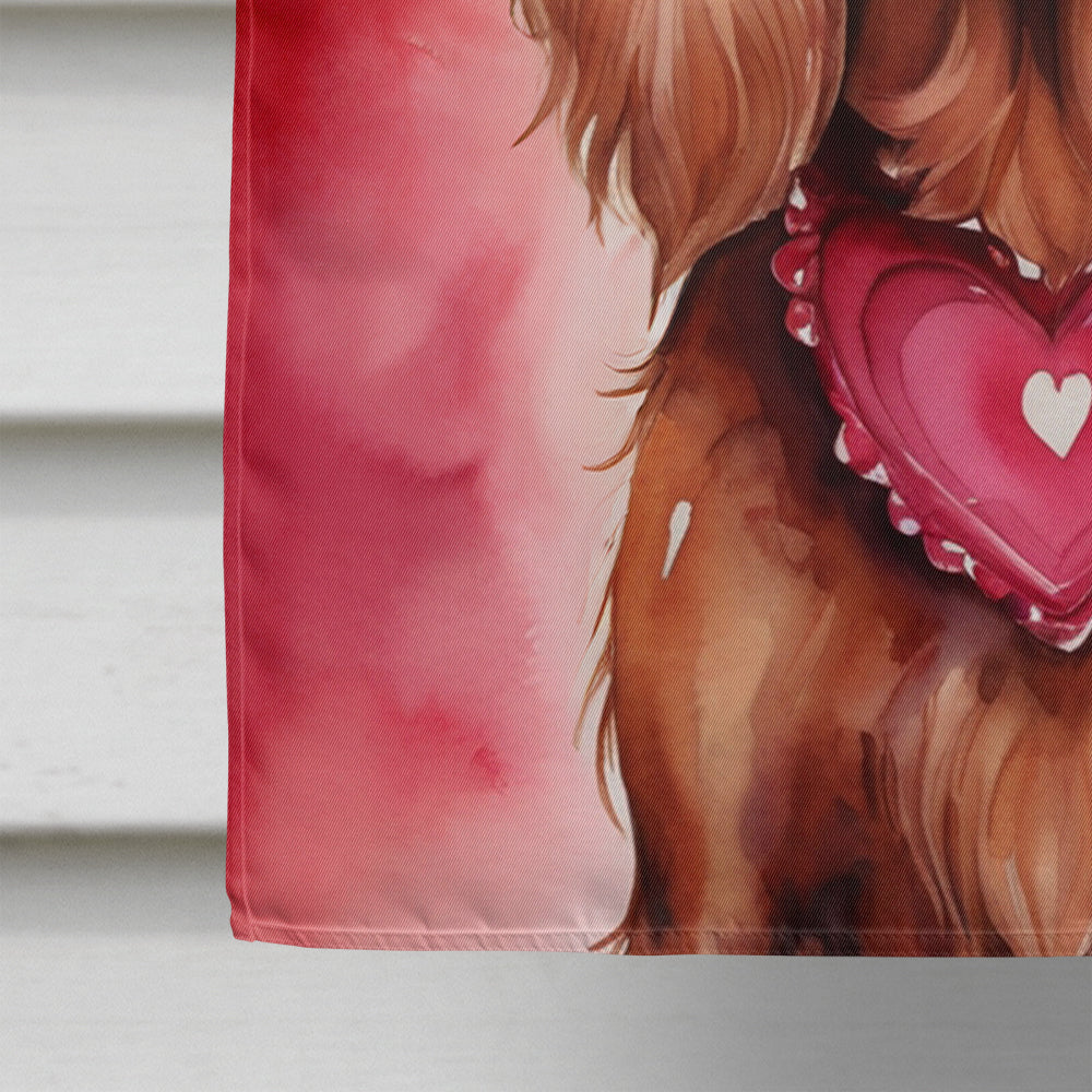 Irish Setter My Valentine House Flag 28x40 Porch Sleeve Pole Decorative Outside Yard Banner Artwork Wall Hanging, Polyester