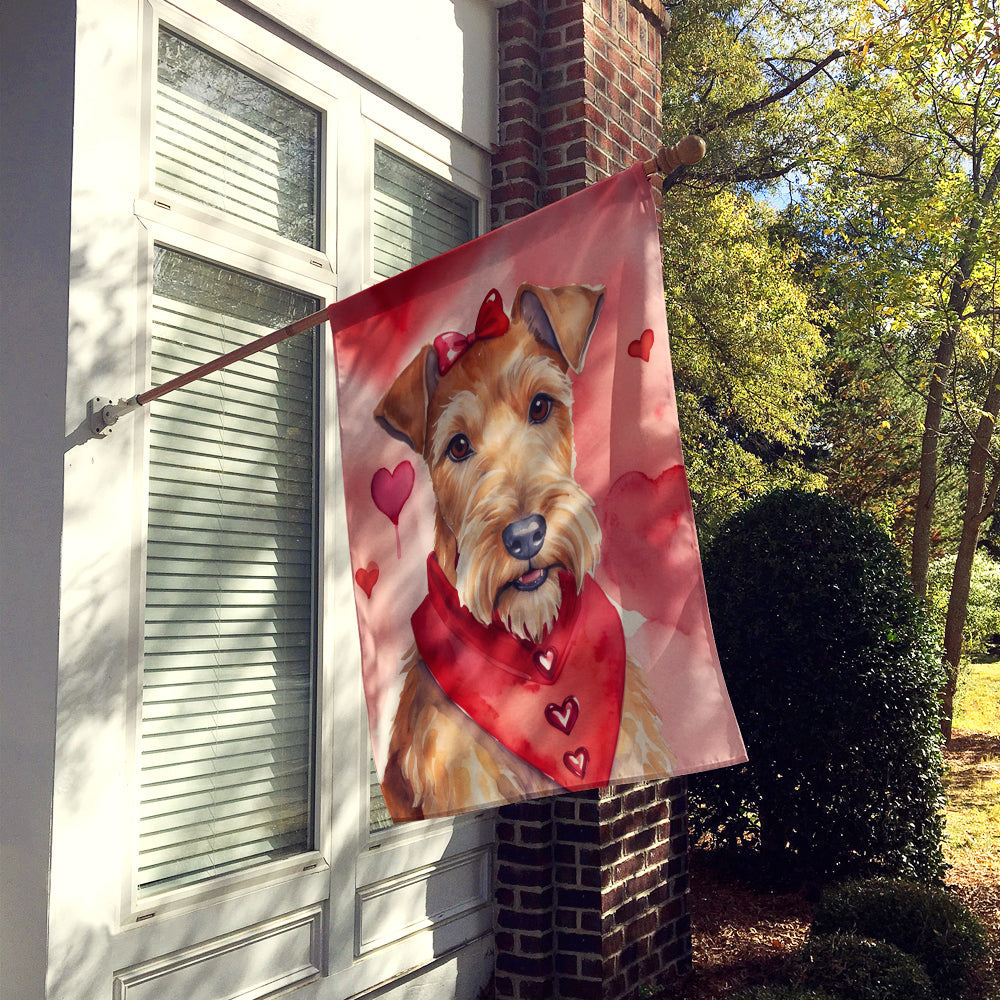 Irish Terrier My Valentine House Flag 28x40 Porch Sleeve Pole Decorative Outside Yard Banner Artwork Wall Hanging, Polyester