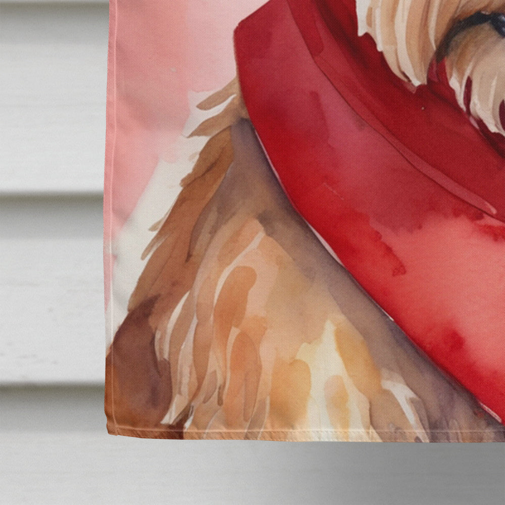 Irish Terrier My Valentine House Flag 28x40 Porch Sleeve Pole Decorative Outside Yard Banner Artwork Wall Hanging, Polyester
