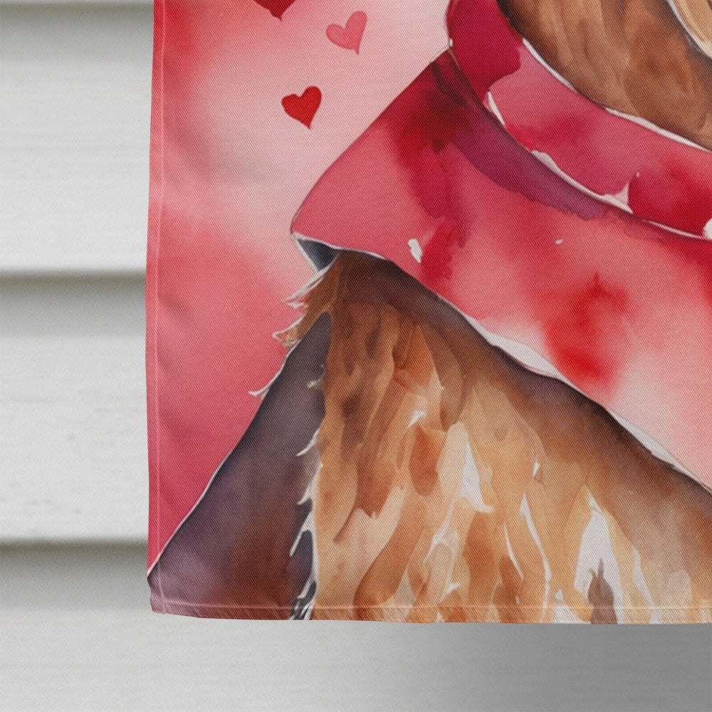 Irish Terrier My Valentine House Flag 28x40 Porch Sleeve Pole Decorative Outside Yard Banner Artwork Wall Hanging, Polyester