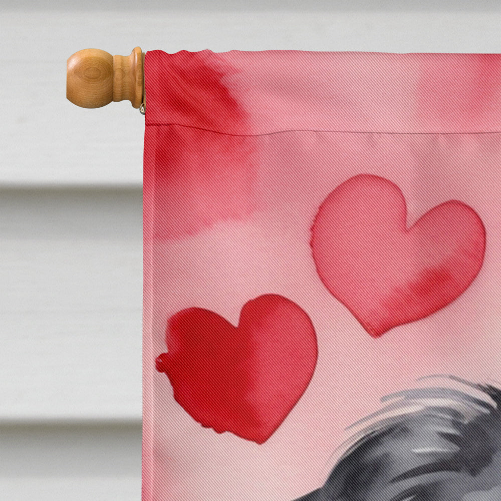 Japanese Chin My Valentine House Flag 28x40 Porch Sleeve Pole Decorative Outside Yard Banner Artwork Wall Hanging, Polyester