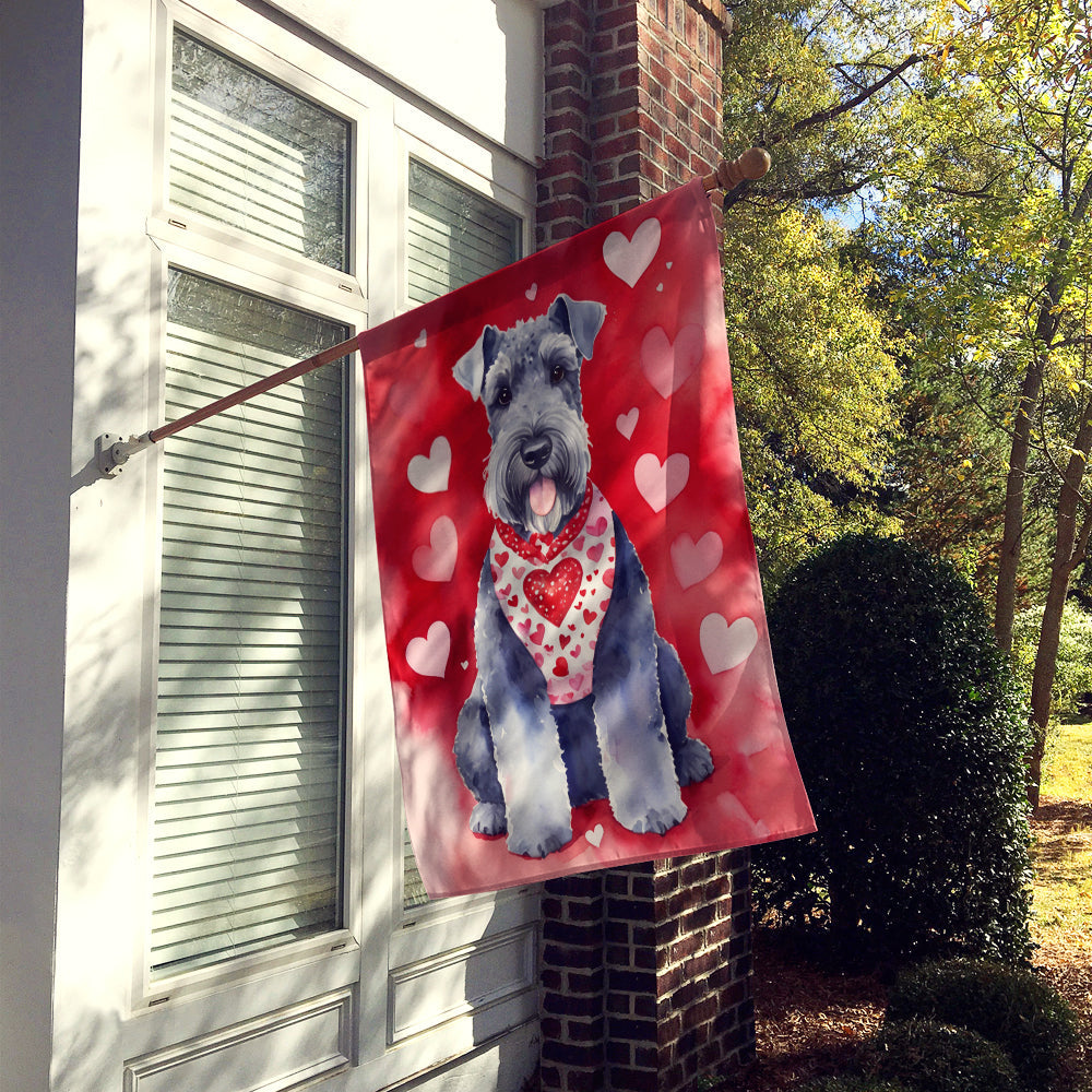 Kerry Blue Terrier My Valentine House Flag 28x40 Porch Sleeve Pole Decorative Outside Yard Banner Artwork Wall Hanging, Polyester