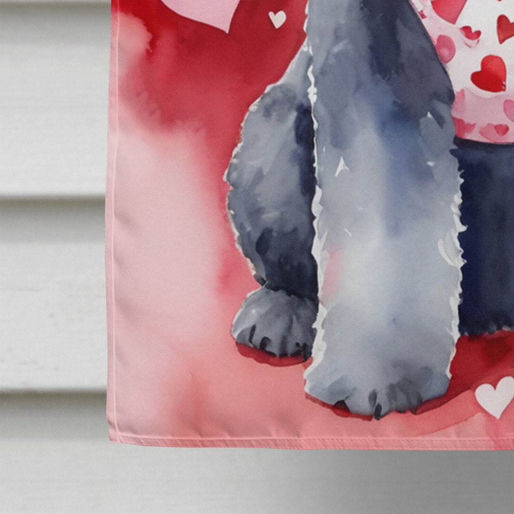 Kerry Blue Terrier My Valentine House Flag 28x40 Porch Sleeve Pole Decorative Outside Yard Banner Artwork Wall Hanging, Polyester