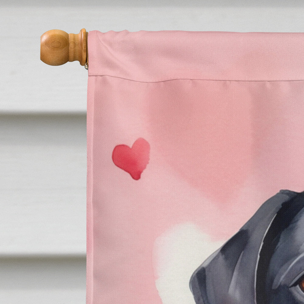 Black Labrador Retriever My Valentine House Flag 28x40 Porch Sleeve Pole Decorative Outside Yard Banner Artwork Wall Hanging, Polyester