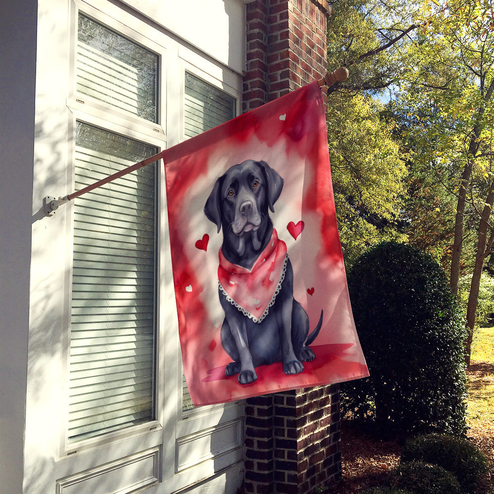 Black Labrador Retriever My Valentine House Flag 28x40 Porch Sleeve Pole Decorative Outside Yard Banner Artwork Wall Hanging, Polyester