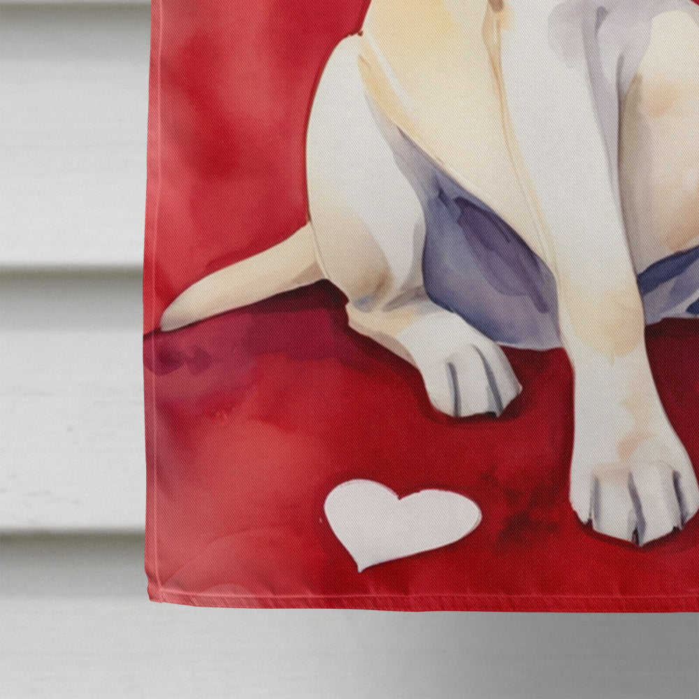 Yellow Labrador Retriever My Valentine House Flag 28x40 Porch Sleeve Pole Decorative Outside Yard Banner Artwork Wall Hanging, Polyester