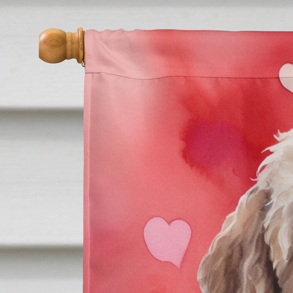 Labradoodle My Valentine House Flag 28x40 Porch Sleeve Pole Decorative Outside Yard Banner Artwork Wall Hanging, Polyester