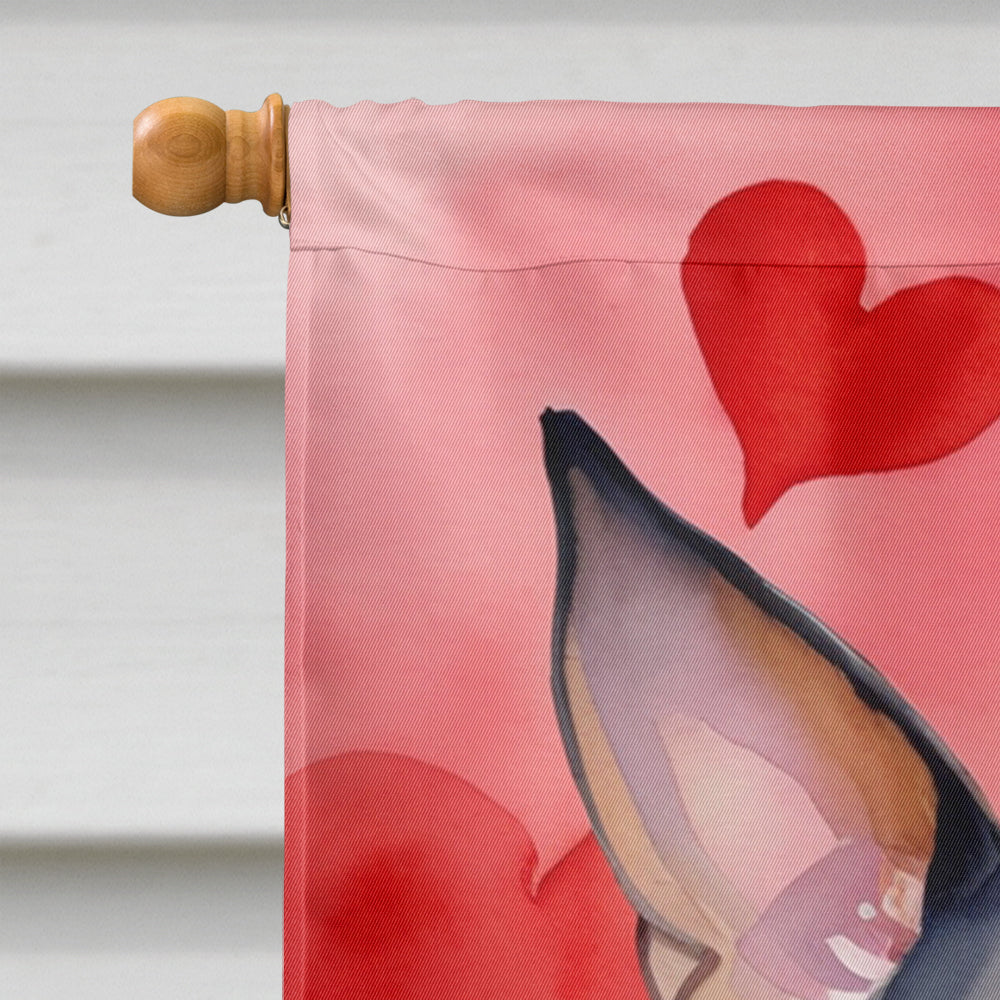 Miniature Pinscher My Valentine House Flag 28x40 Porch Sleeve Pole Decorative Outside Yard Banner Artwork Wall Hanging, Polyester
