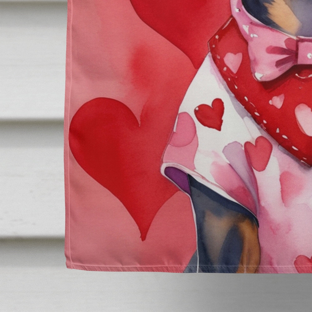 Miniature Pinscher My Valentine House Flag 28x40 Porch Sleeve Pole Decorative Outside Yard Banner Artwork Wall Hanging, Polyester