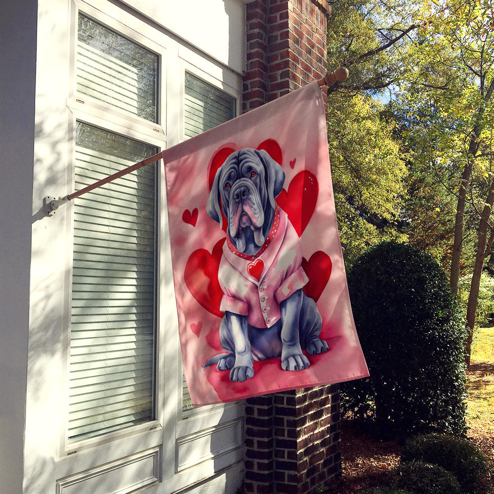 Neapolitan Mastiff My Valentine House Flag 28x40 Porch Sleeve Pole Decorative Outside Yard Banner Artwork Wall Hanging, Polyester