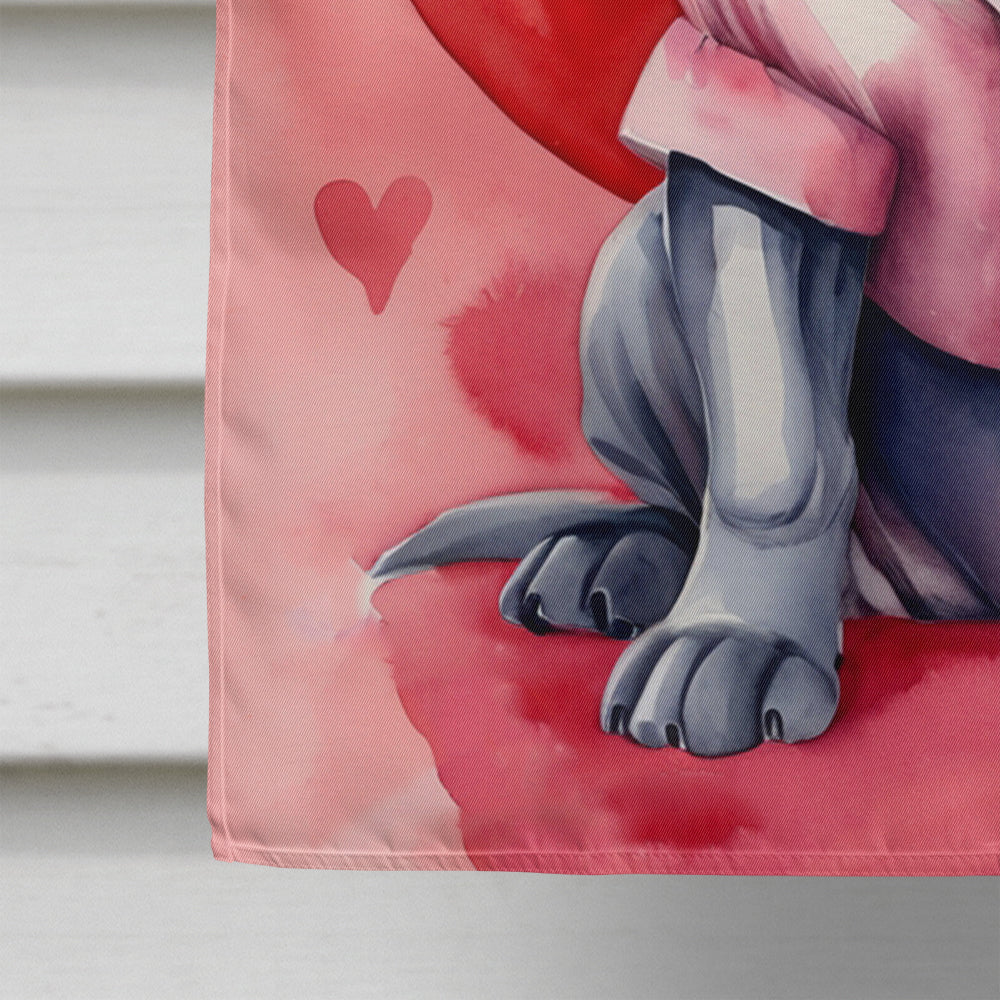 Neapolitan Mastiff My Valentine House Flag 28x40 Porch Sleeve Pole Decorative Outside Yard Banner Artwork Wall Hanging, Polyester