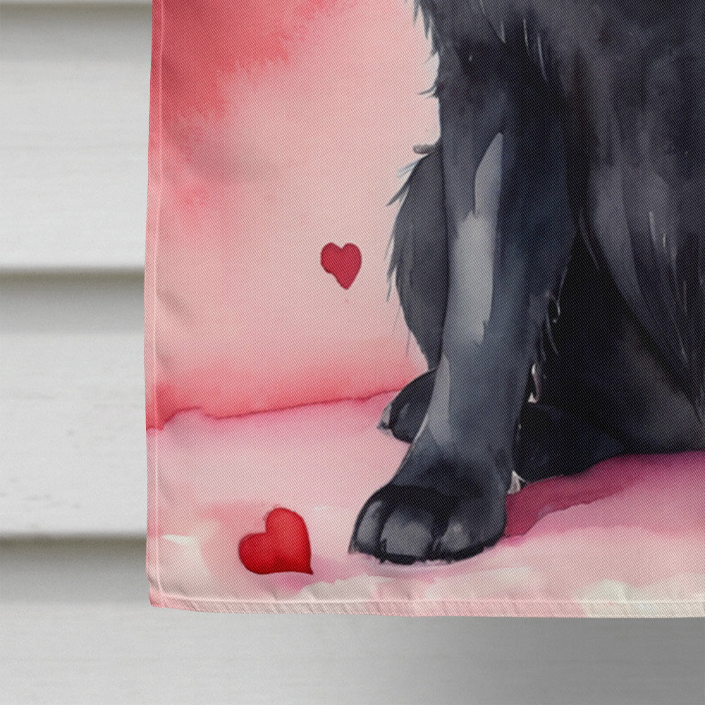 Newfoundland My Valentine House Flag 28x40 Porch Sleeve Pole Decorative Outside Yard Banner Artwork Wall Hanging, Polyester