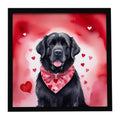 Newfoundland My Valentine Framed Metal Print Bathroom, Kitchen, Office, Home Decor Wall Art Ready to Hang, Square, 8X8