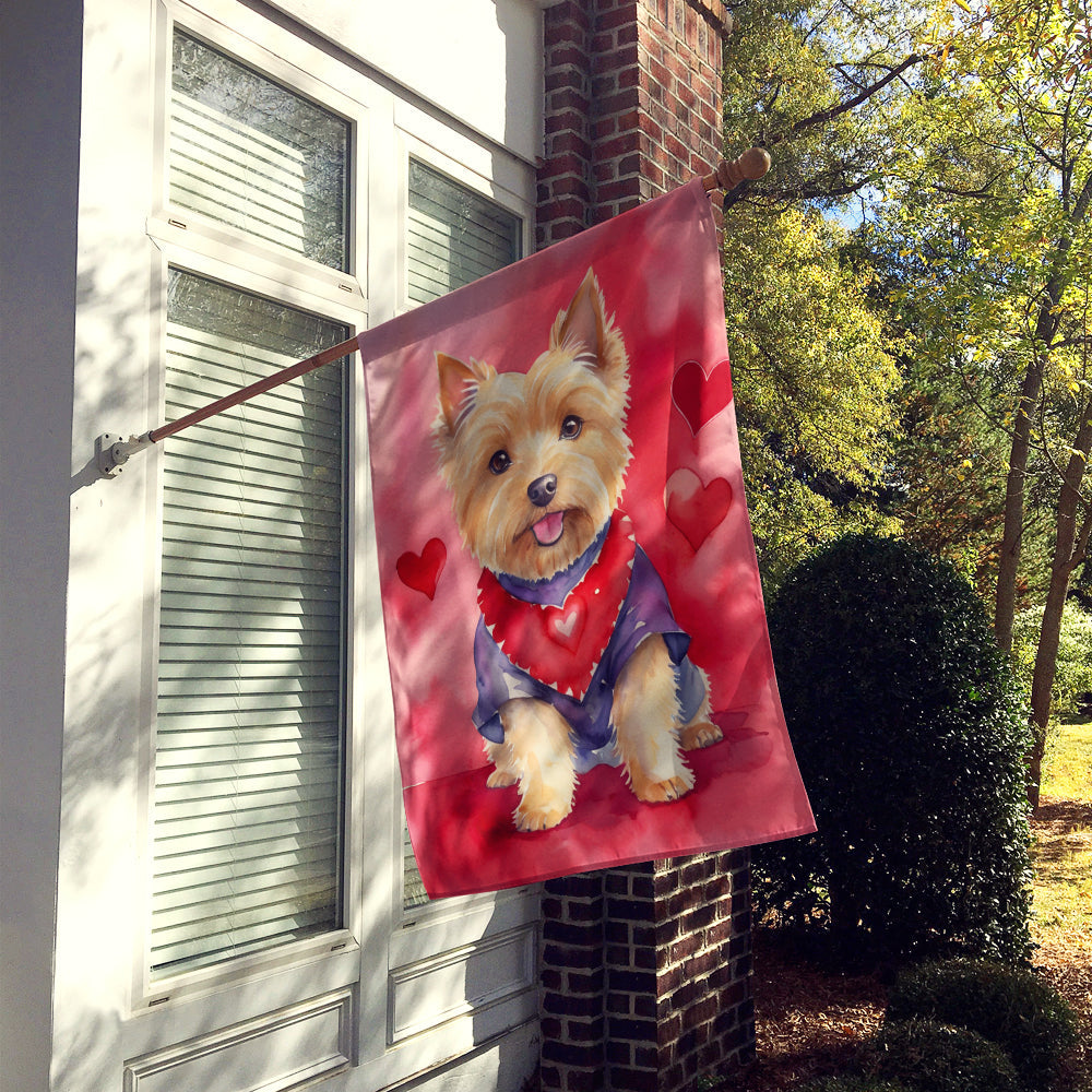 Norwich Terrier My Valentine House Flag 28x40 Porch Sleeve Pole Decorative Outside Yard Banner Artwork Wall Hanging, Polyester