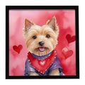 Norwich Terrier My Valentine Framed Metal Print Bathroom, Kitchen, Office, Home Decor Wall Art Ready to Hang, Square, 8X8
