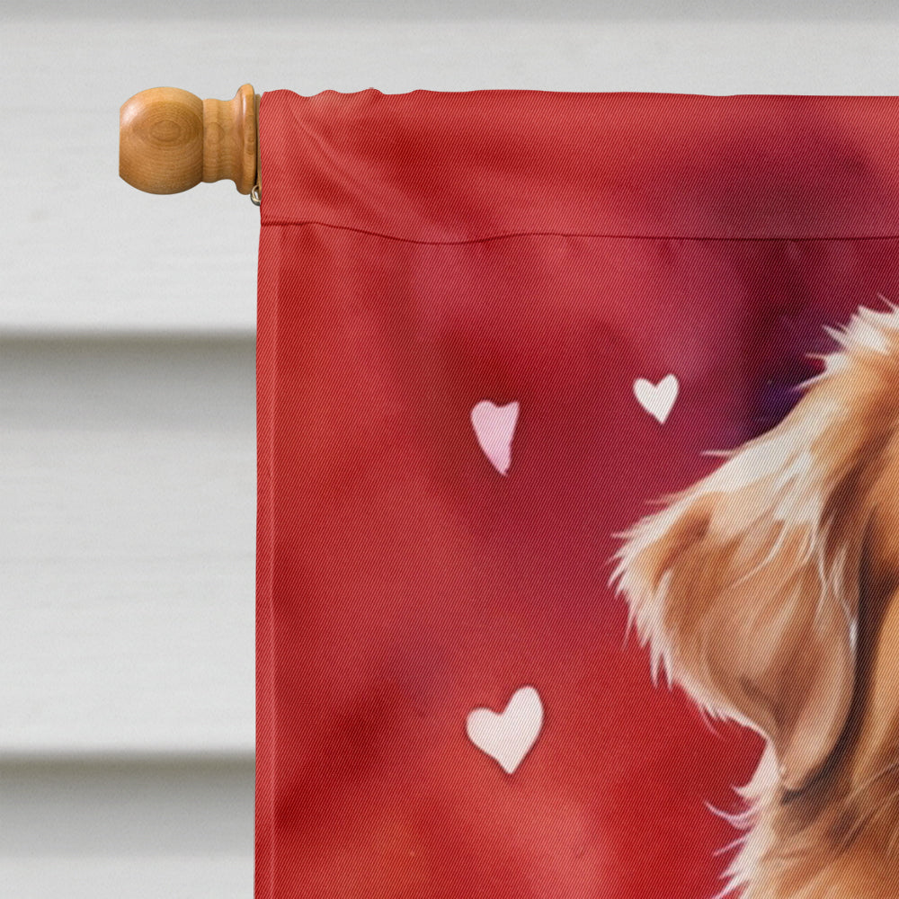 Nova Scotia Duck Tolling Retriever My Valentine House Flag 28x40 Porch Sleeve Pole Decorative Outside Yard Banner Artwork Wall Hanging, Polyester