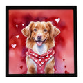 Nova Scotia Duck Tolling Retriever My Valentine Framed Metal Print Bathroom, Kitchen, Office, Home Decor Wall Art Ready to Hang, Square, 8X8