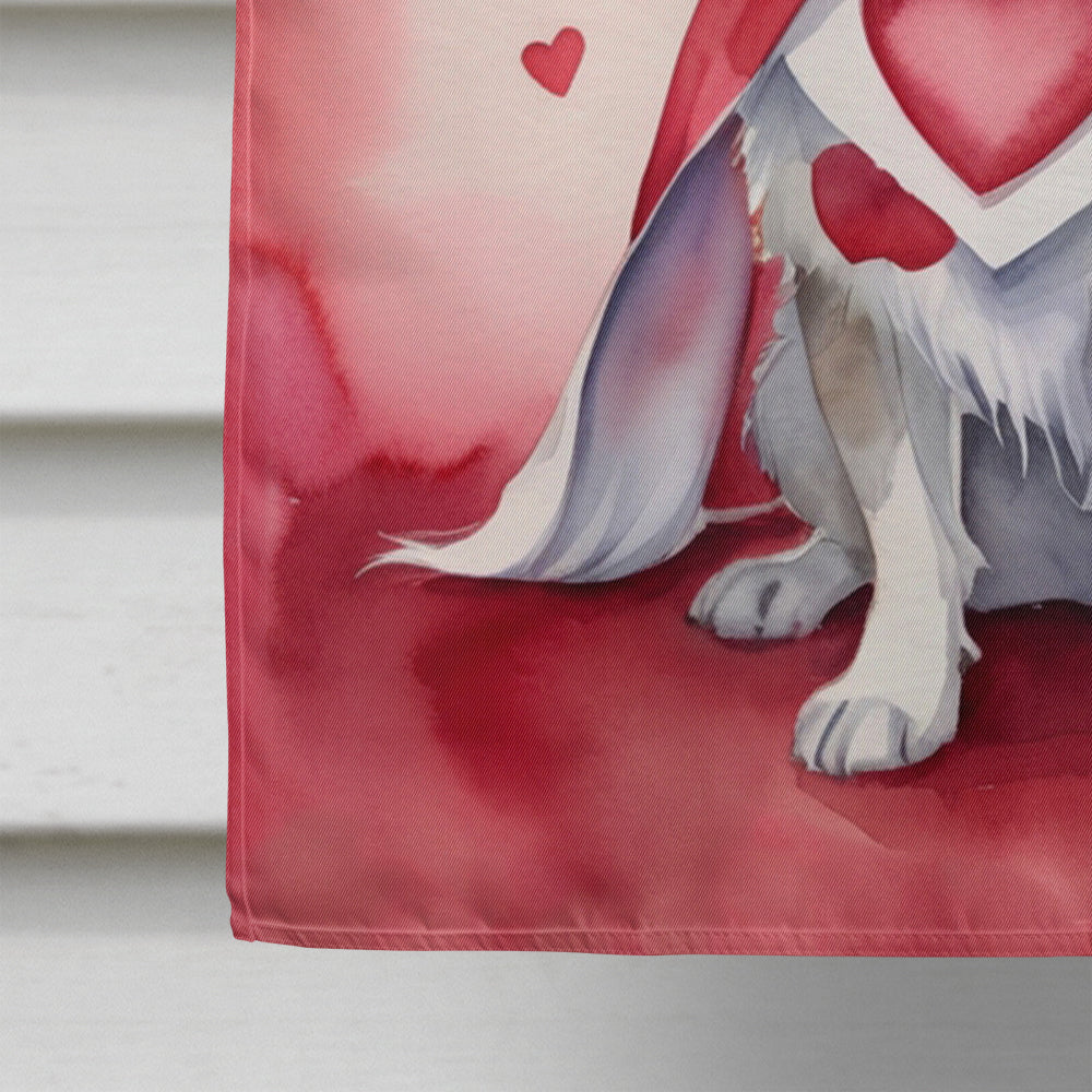 Papillon My Valentine House Flag 28x40 Porch Sleeve Pole Decorative Outside Yard Banner Artwork Wall Hanging, Polyester