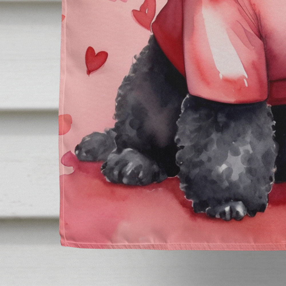 Black Poodle My Valentine House Flag 28x40 Porch Sleeve Pole Decorative Outside Yard Banner Artwork Wall Hanging, Polyester