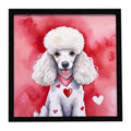 White Poodle My Valentine Framed Metal Print Bathroom, Kitchen, Office, Home Decor Wall Art Ready to Hang, Square, 8X8