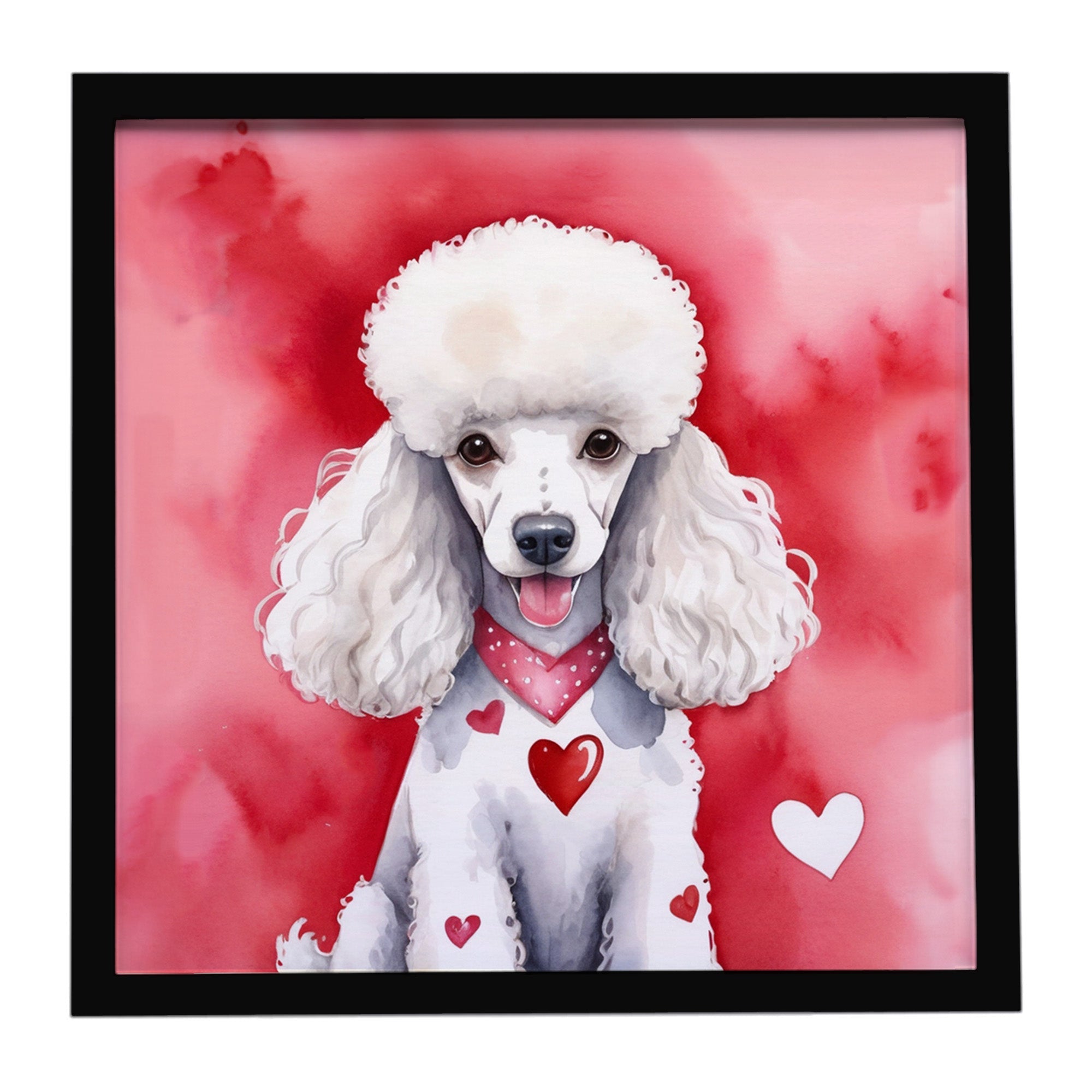White Poodle My Valentine Framed Metal Print Bathroom, Kitchen, Office, Home Decor Wall Art Ready to Hang, Square, 8X8