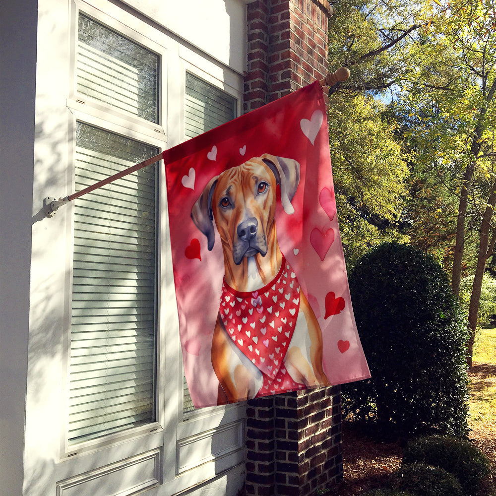 Rhodesian Ridgeback My Valentine House Flag 28x40 Porch Sleeve Pole Decorative Outside Yard Banner Artwork Wall Hanging, Polyester
